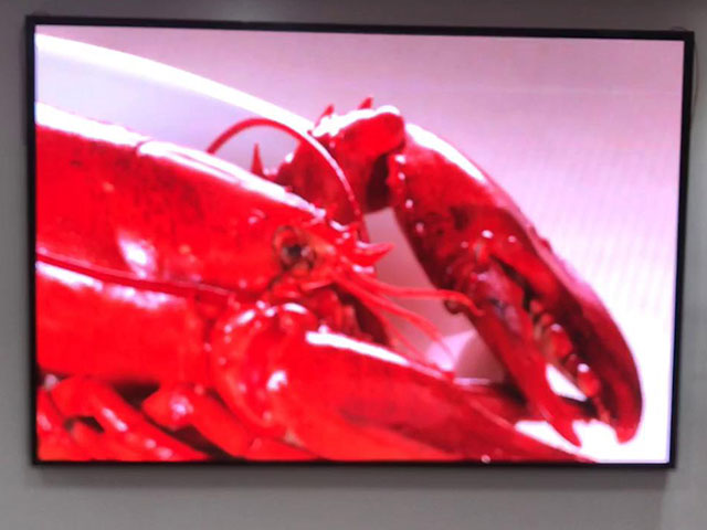 �������R���־�Ѳ�����(du��)�@ʾ�����b